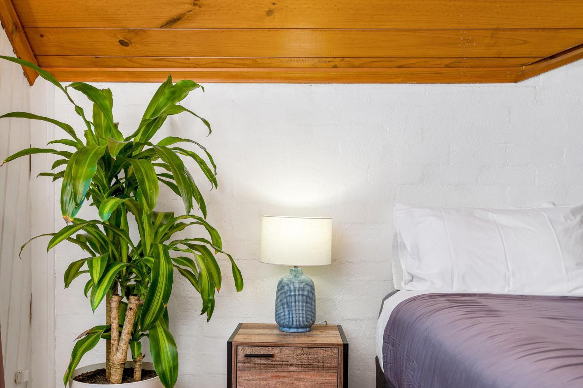 Aquarius Backpackers Resort ไบรอนเบย์ ภายนอก รูปภาพ